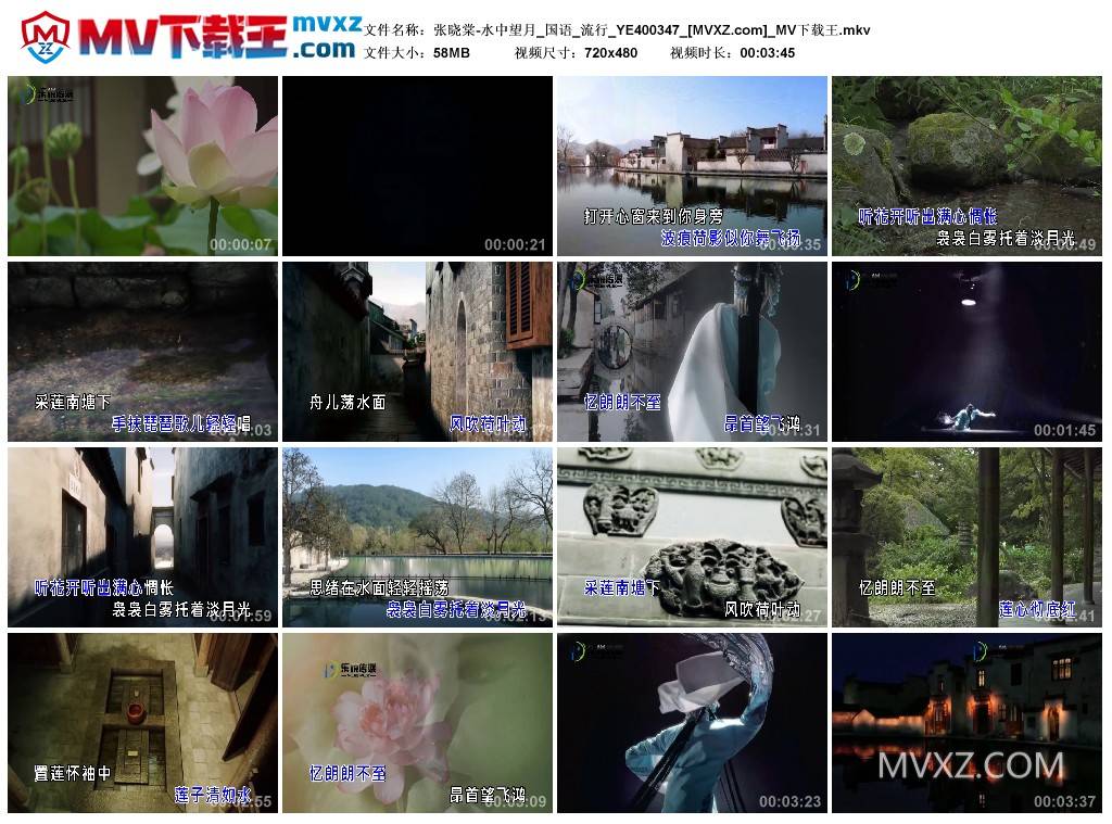 张晓棠-水中望月_国语_流行_YE400347